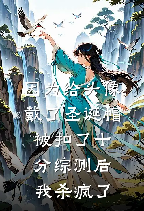 因为给头像戴了圣诞帽被扣了十分综测后，我杀疯了