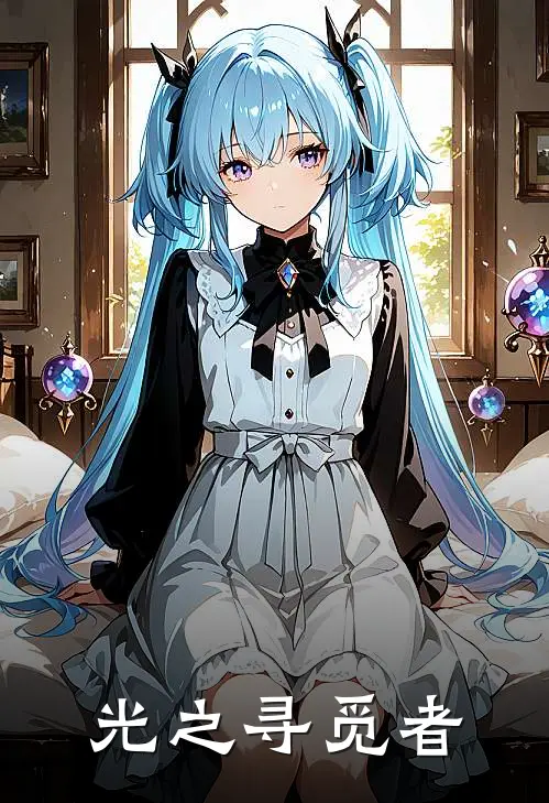 光之寻觅者